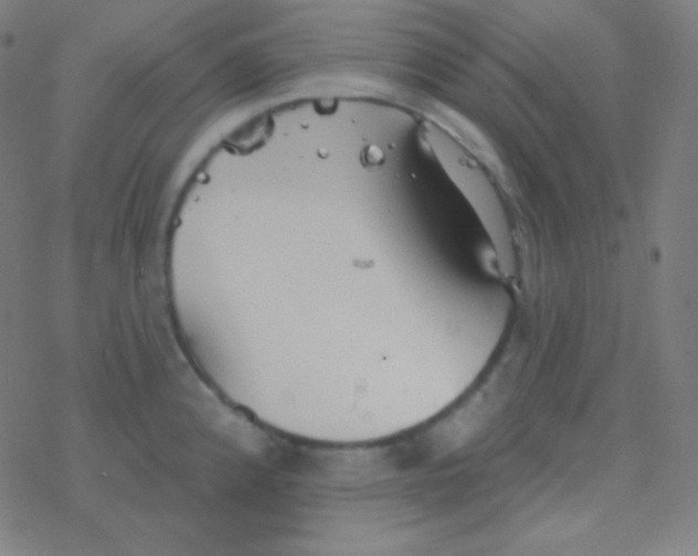 X0000077371192200611101656