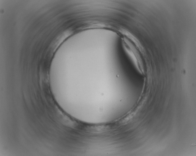 X0000077371193200611101656