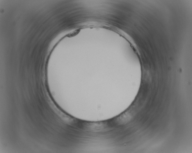 X0000077371195200611101656