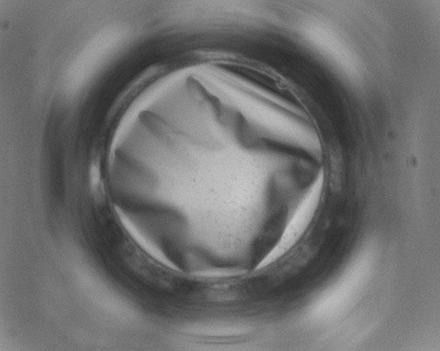 X0000077371198200611101656