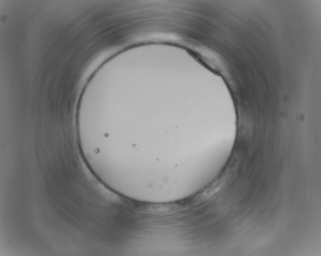 X0000077371199200611101656