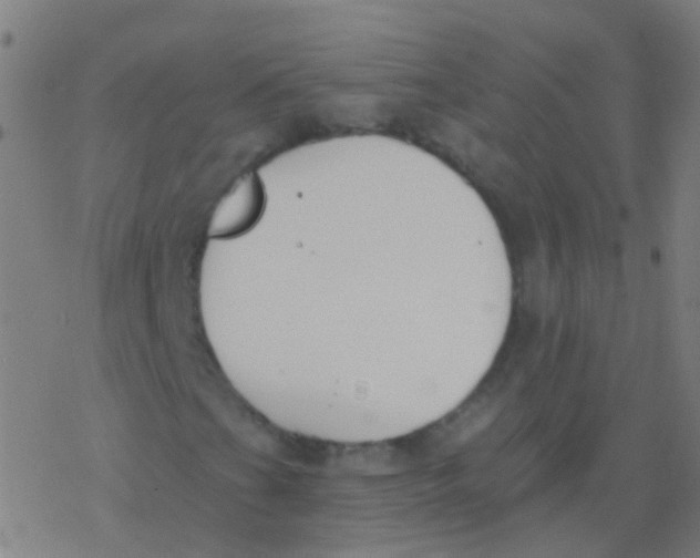 X0000077371201200611101655