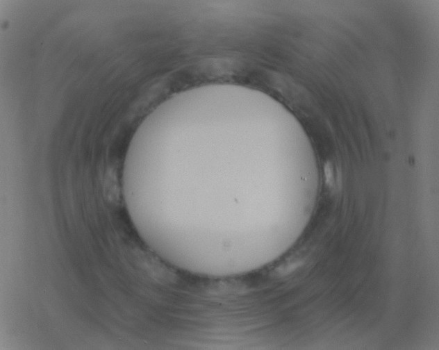 X0000077371203200611101655