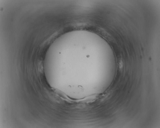 X0000077371204200611101655