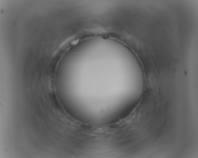 X0000077371205200611101655