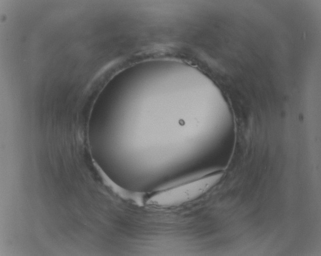 X0000077371206200611101655