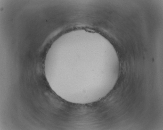 X0000077371207200611101655