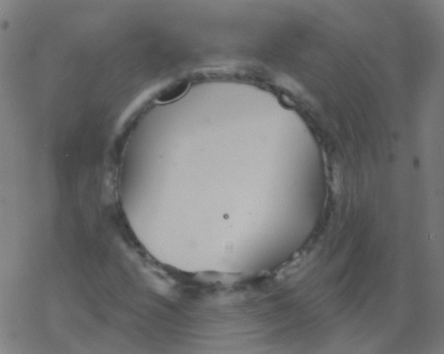 X0000077371208200611101655