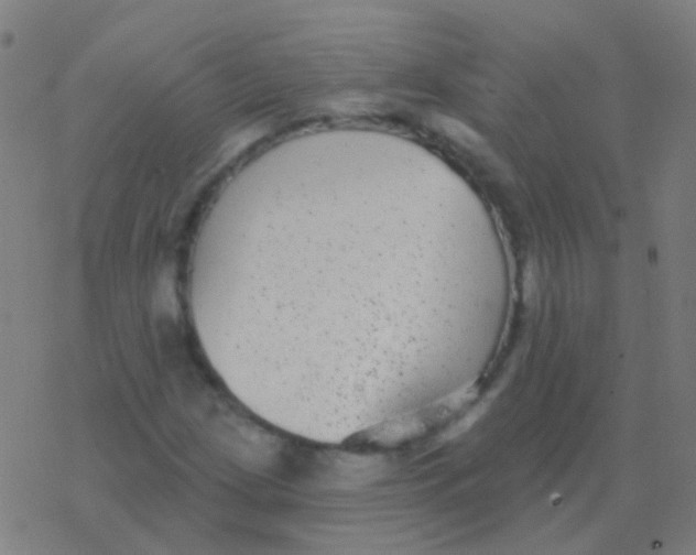 X0000077371209200611101655