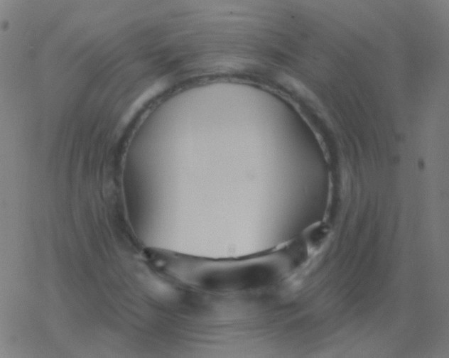 X0000077371210200611101655