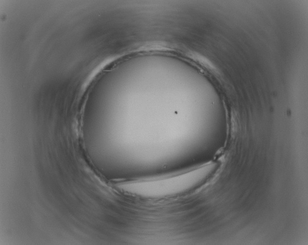 X0000077371212200611101656