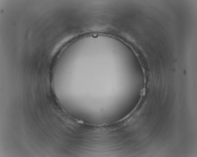 X0000077371214200611101656