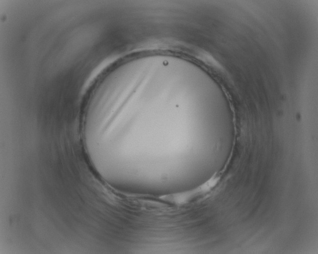 X0000077371216200611101656