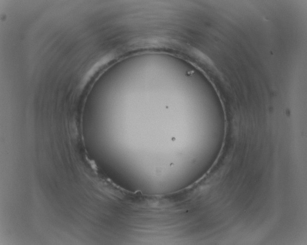 X0000077371218200611101656