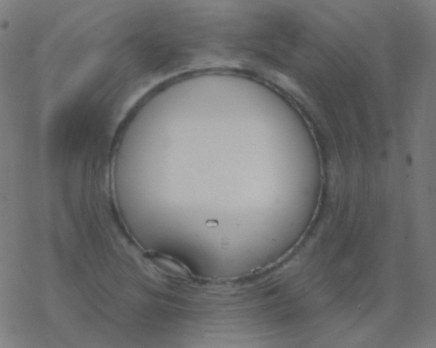 X0000077371220200611101656