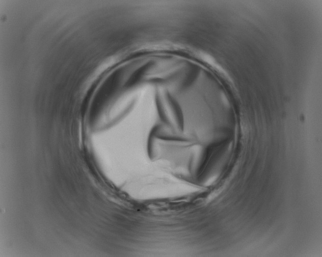 X0000077371221200611101656