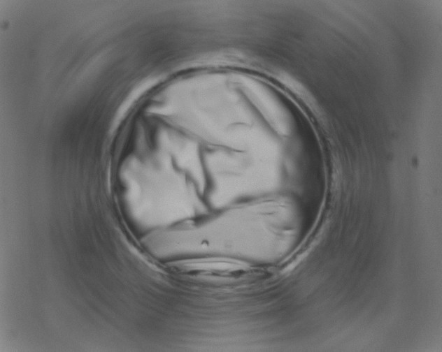 X0000077371224200611101656