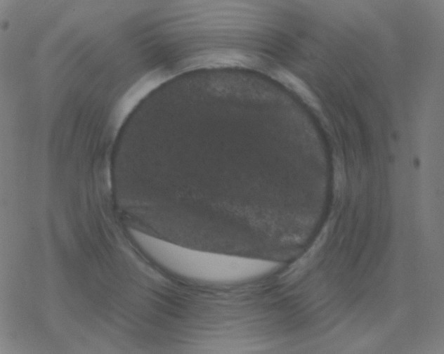 X0000077371226200611101656