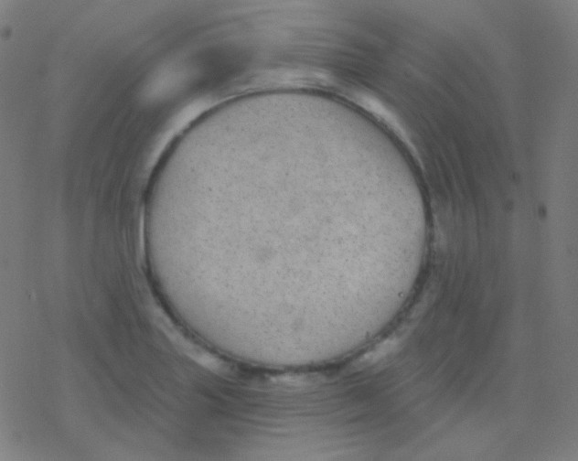 X0000077371227200611101656