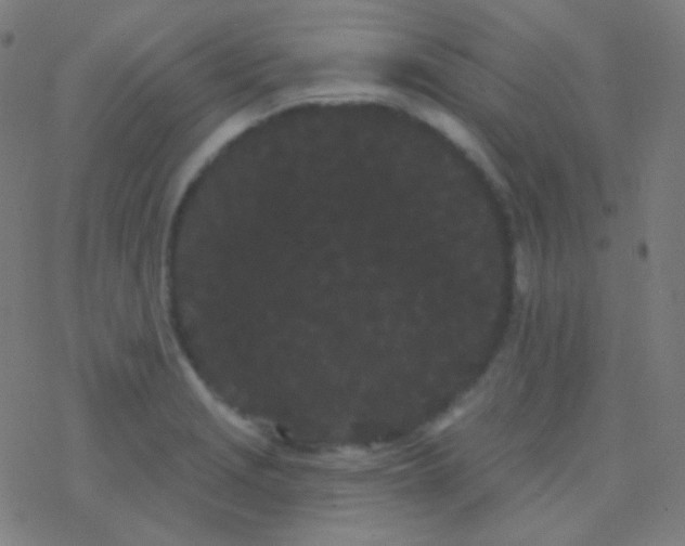 X0000077371229200611101656