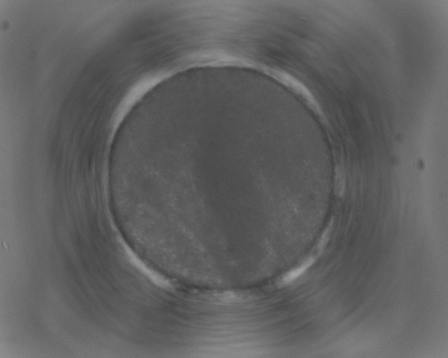 X0000077371231200611101656