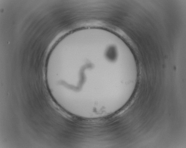 X0000077371232200611101656