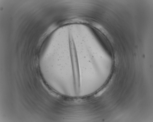 X0000077371233200611101656