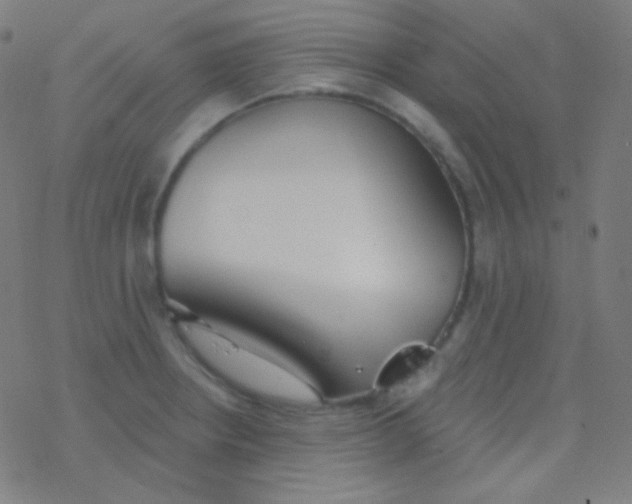 X0000077371234200611101656