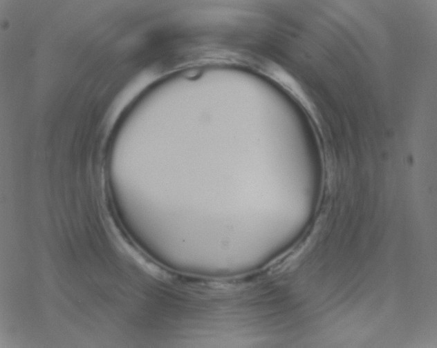 X0000077371235200611101656