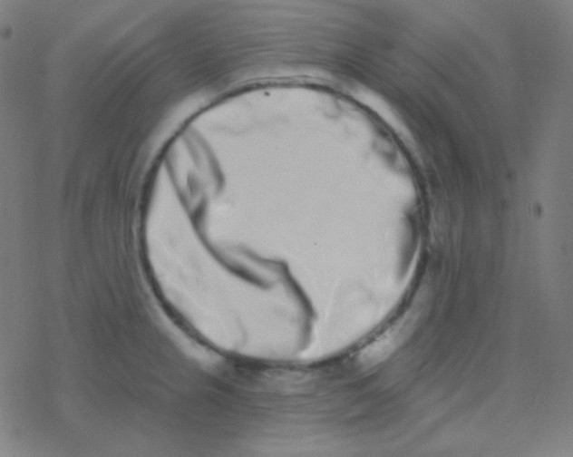 X0000077371237200611101656