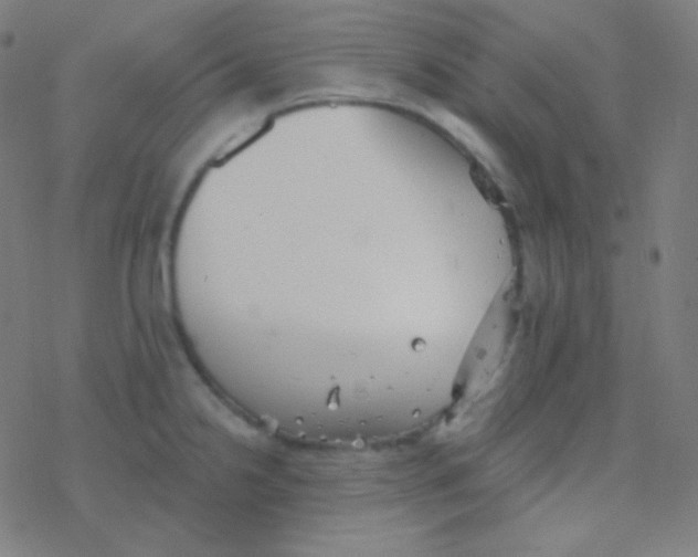 X0000077371238200611101656