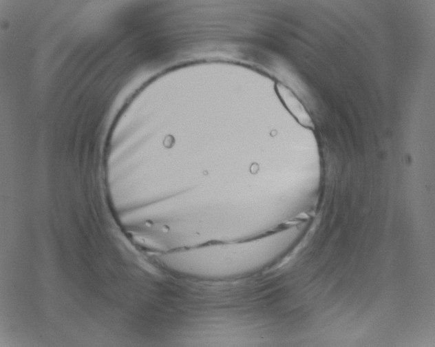 X0000077371240200611101656