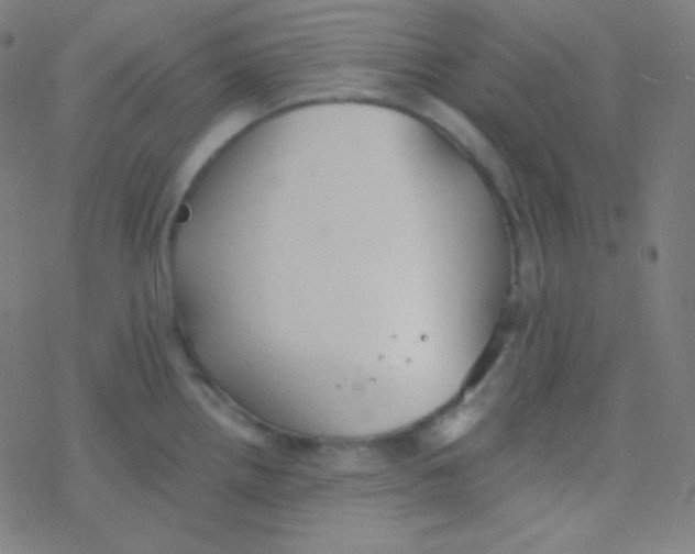 X0000077371242200611101656