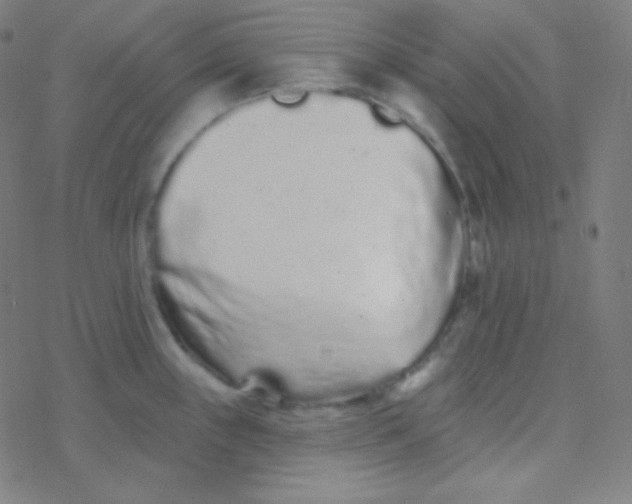 X0000077371243200611101656