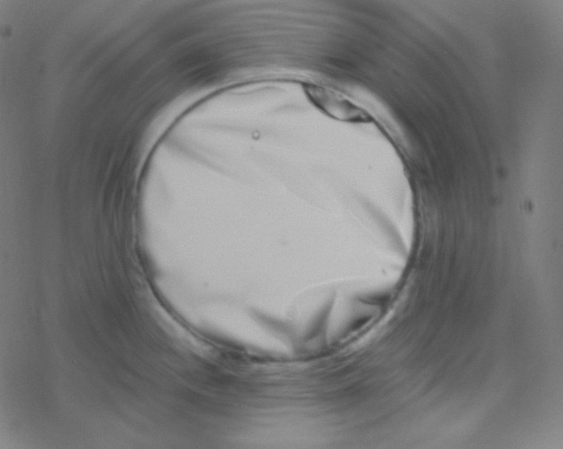 X0000077371244200611101656