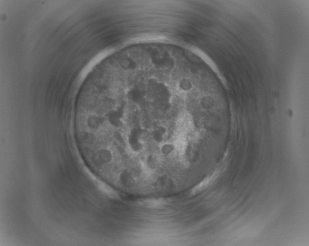 X0000077371245200611101656