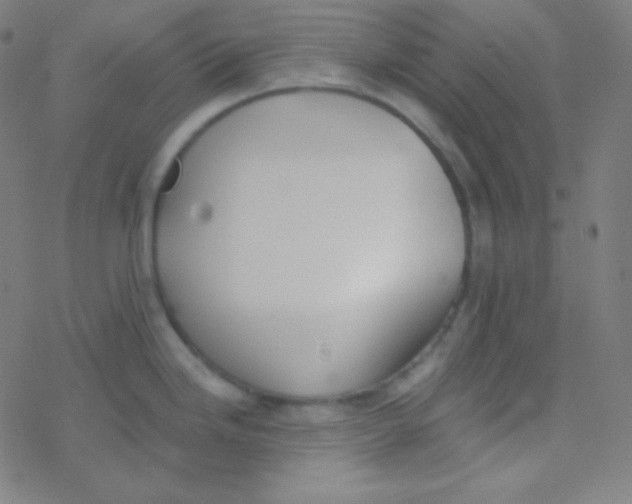 X0000077371246200611101656