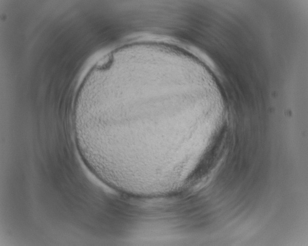 X0000077371247200611101656