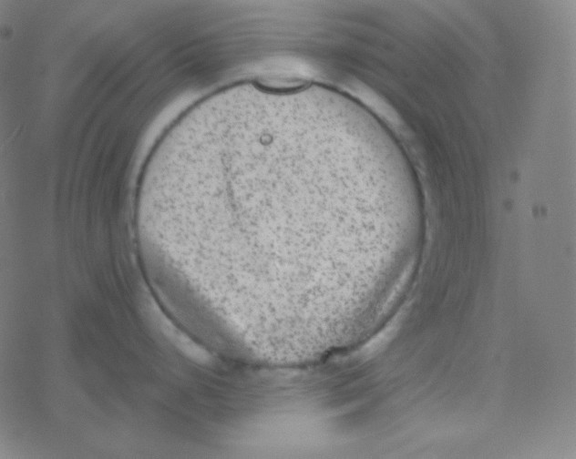 X0000077371248200611101656