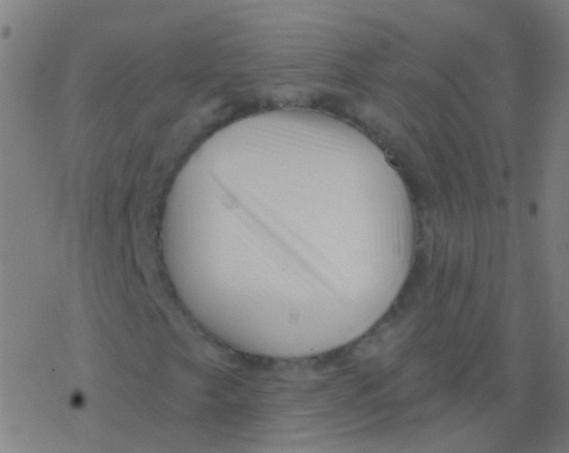 X0000077371249200611101655