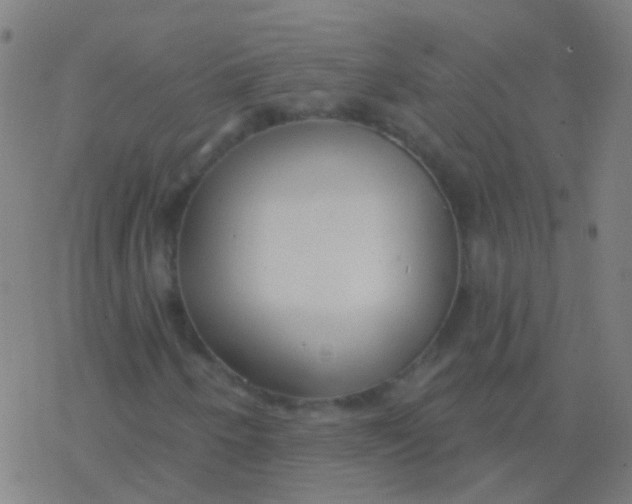 X0000077371250200611101655