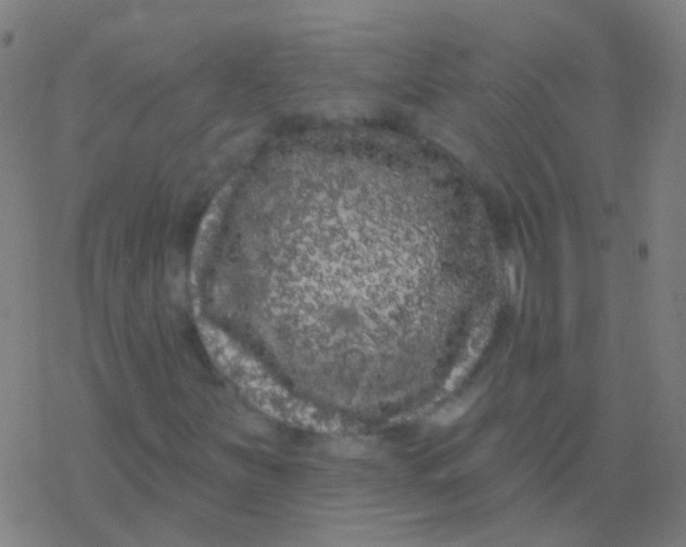 X0000077371251200611101655