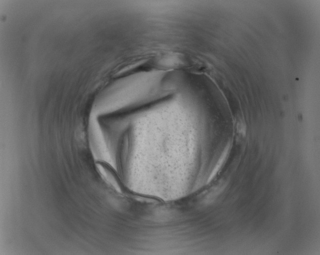 X0000077371252200611101655