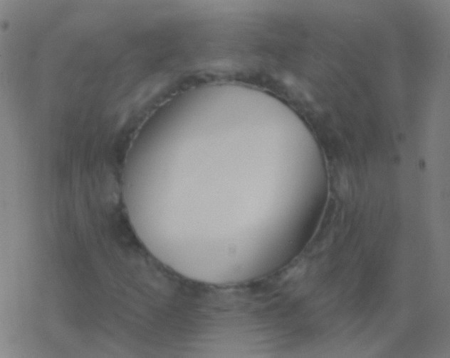 X0000077371253200611101655