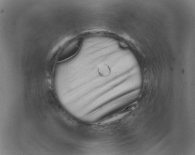 X0000077371255200611101655