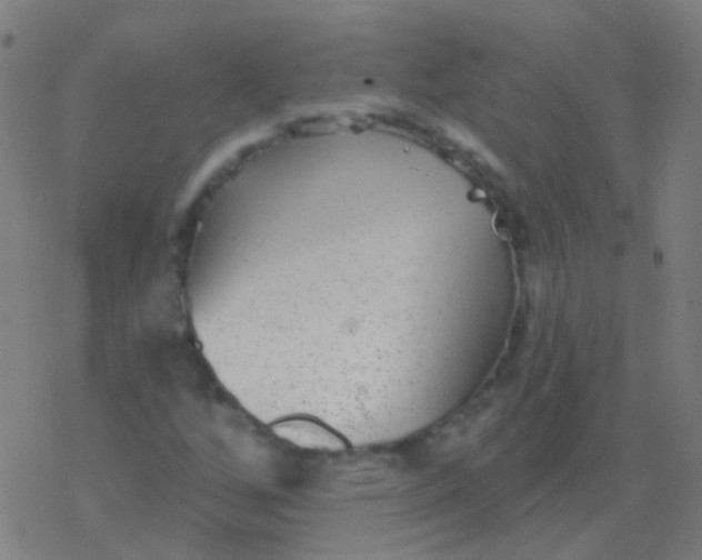 X0000077371256200611101655