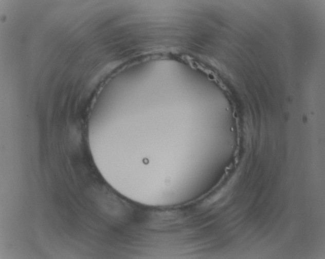 X0000077371257200611101655