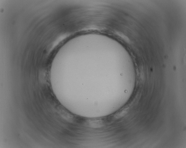 X0000077371258200611101655