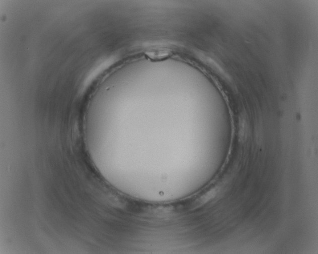 X0000077371261200611101655