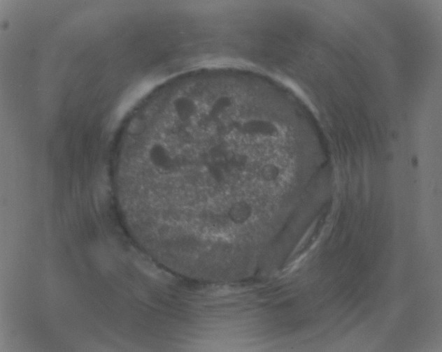 X0000077371263200611101655